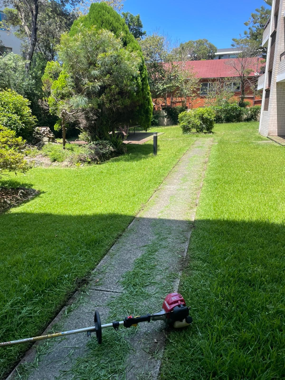 Clean Lines — photo 7