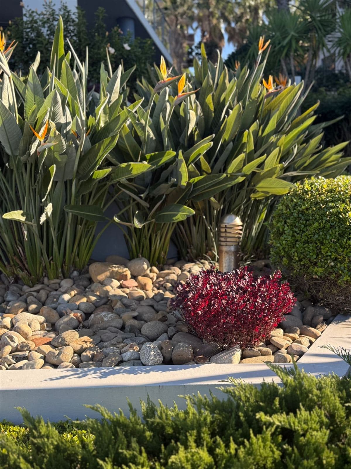 Gardens — photo 2