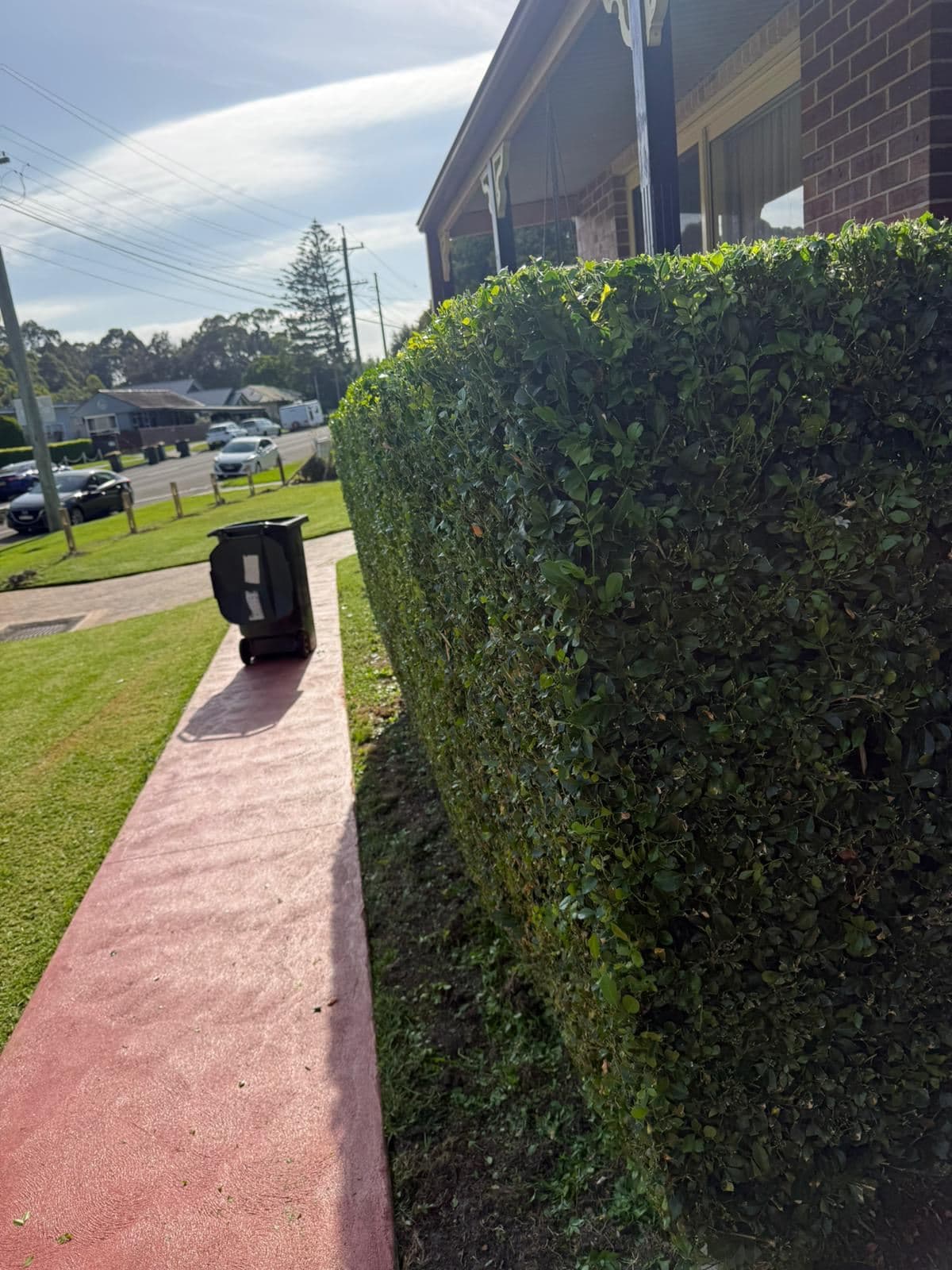 Hedging — photo 2