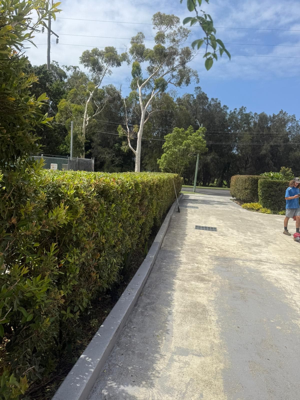 Hedging — photo 3