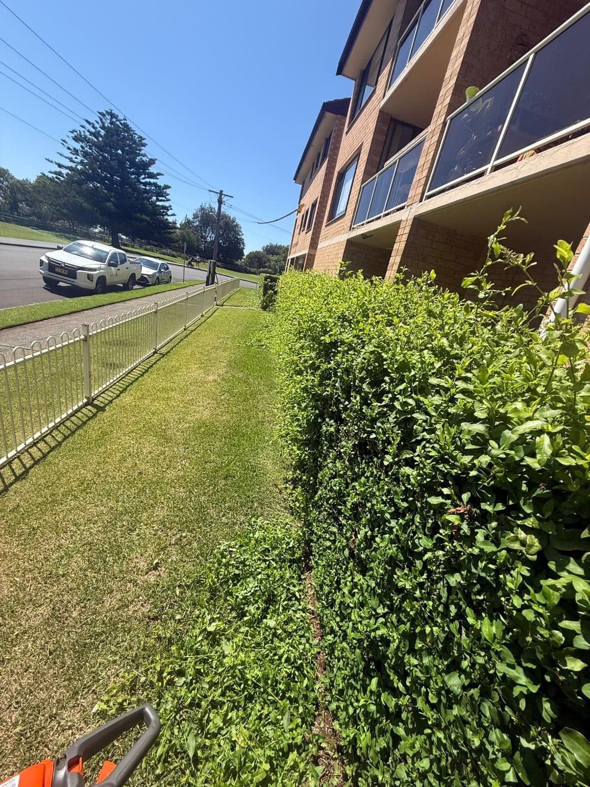 Hedging — photo 4