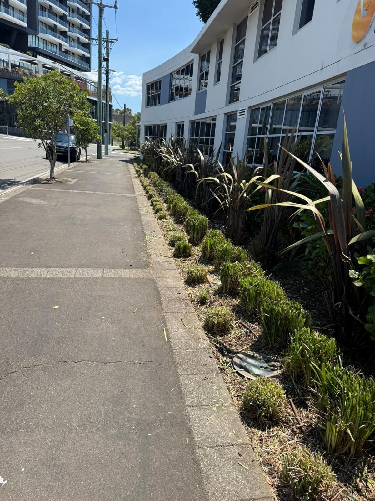 Hedging — photo 6