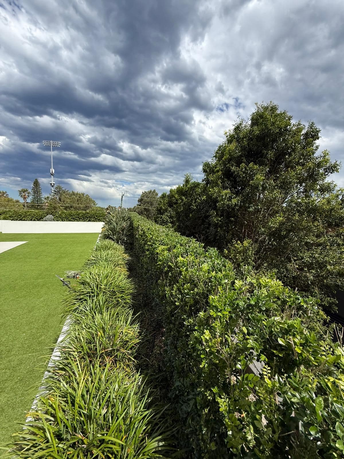 Hedging — photo 8