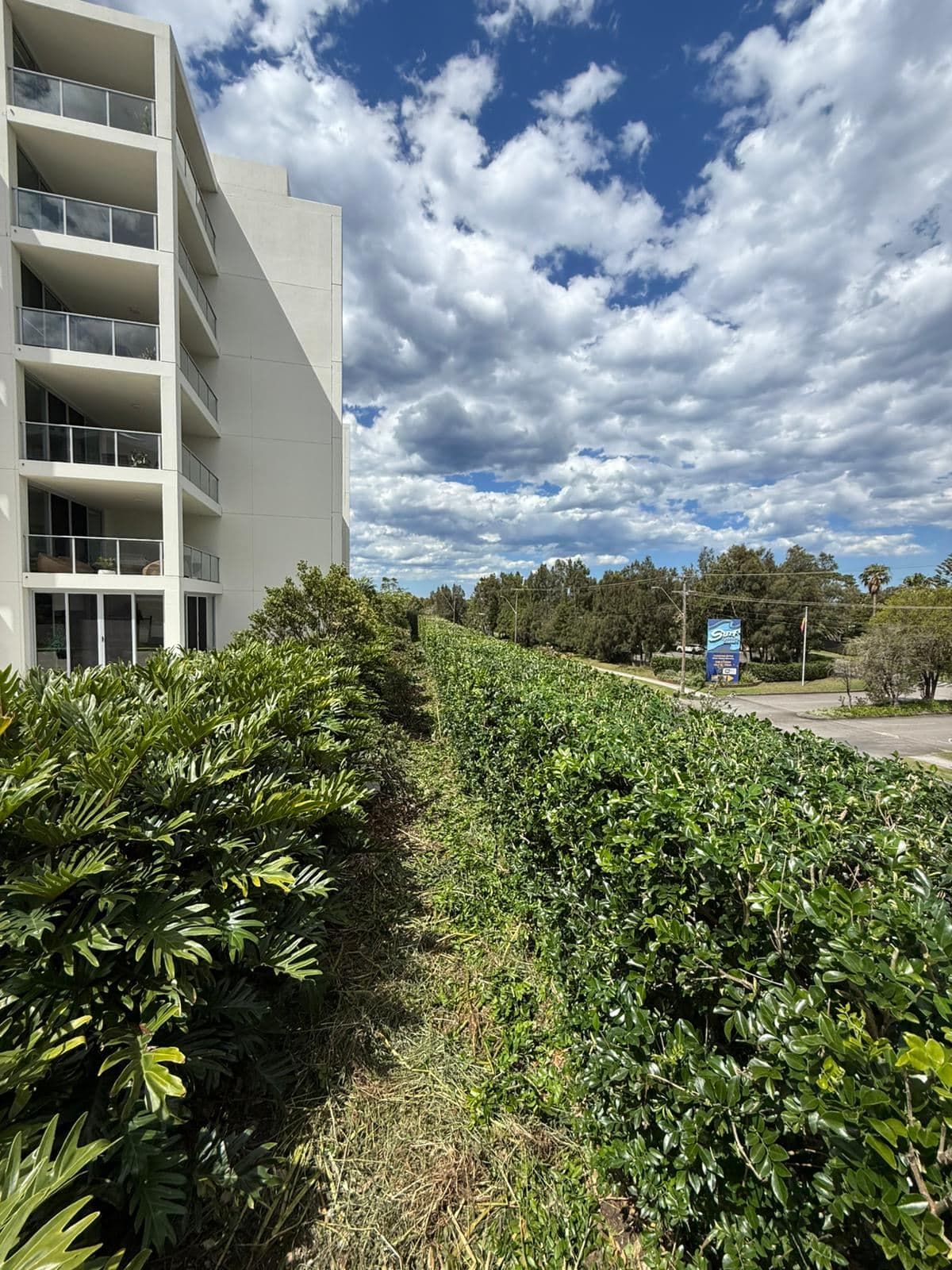 Hedging — photo 9