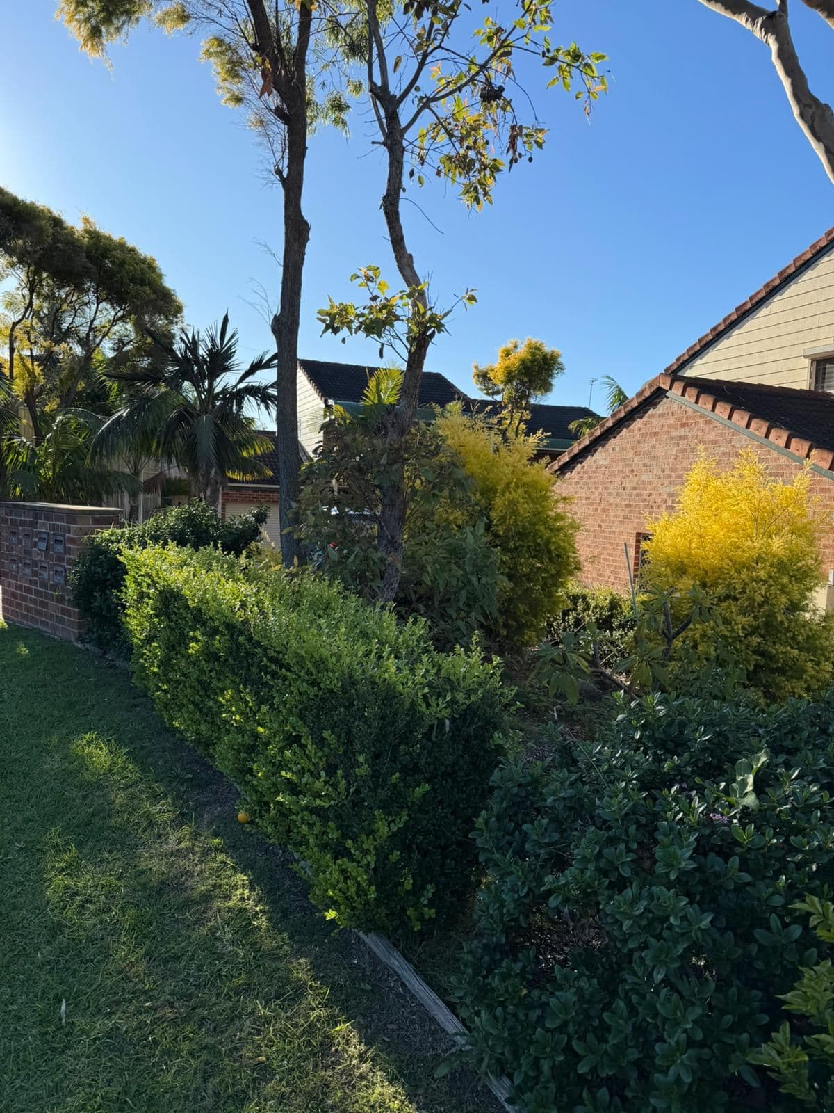 Hedging — photo 14