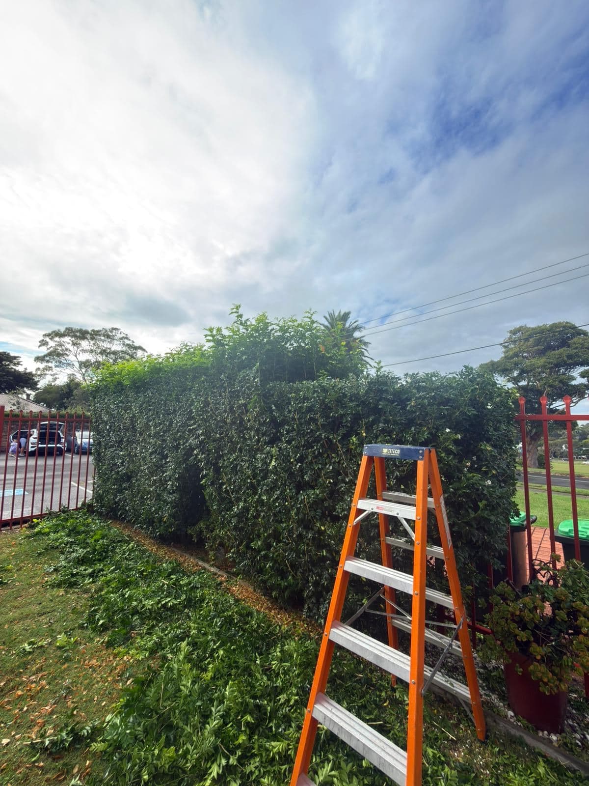 Hedging — photo 16