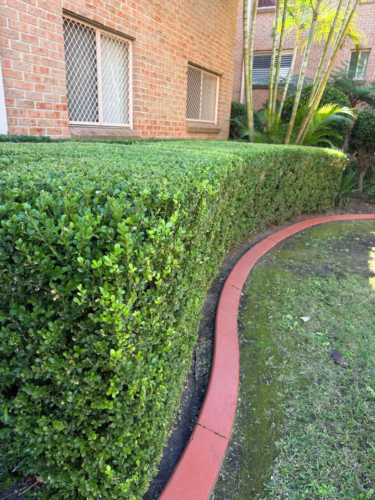 Hedging — photo 21