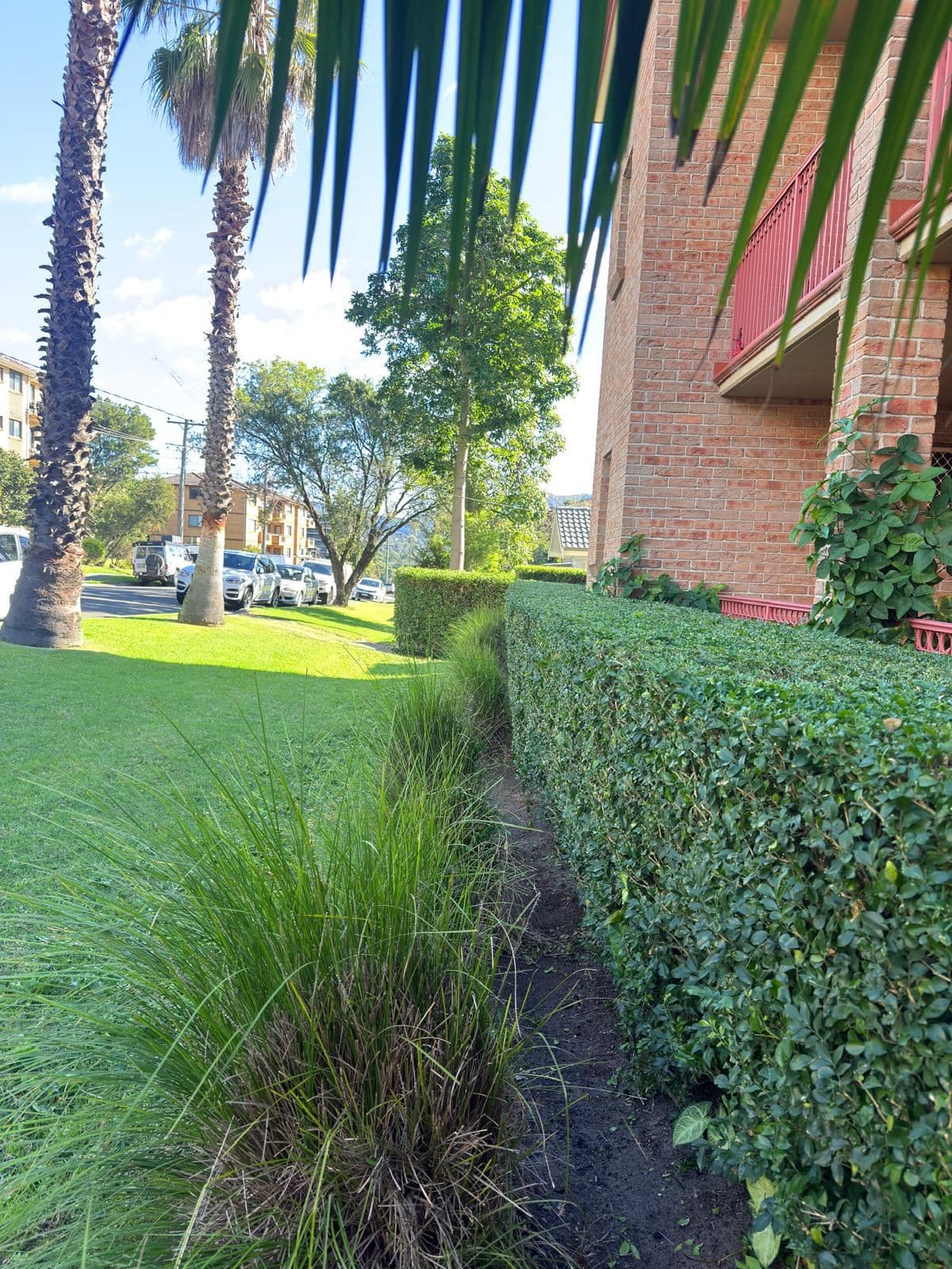 Hedging — photo 22