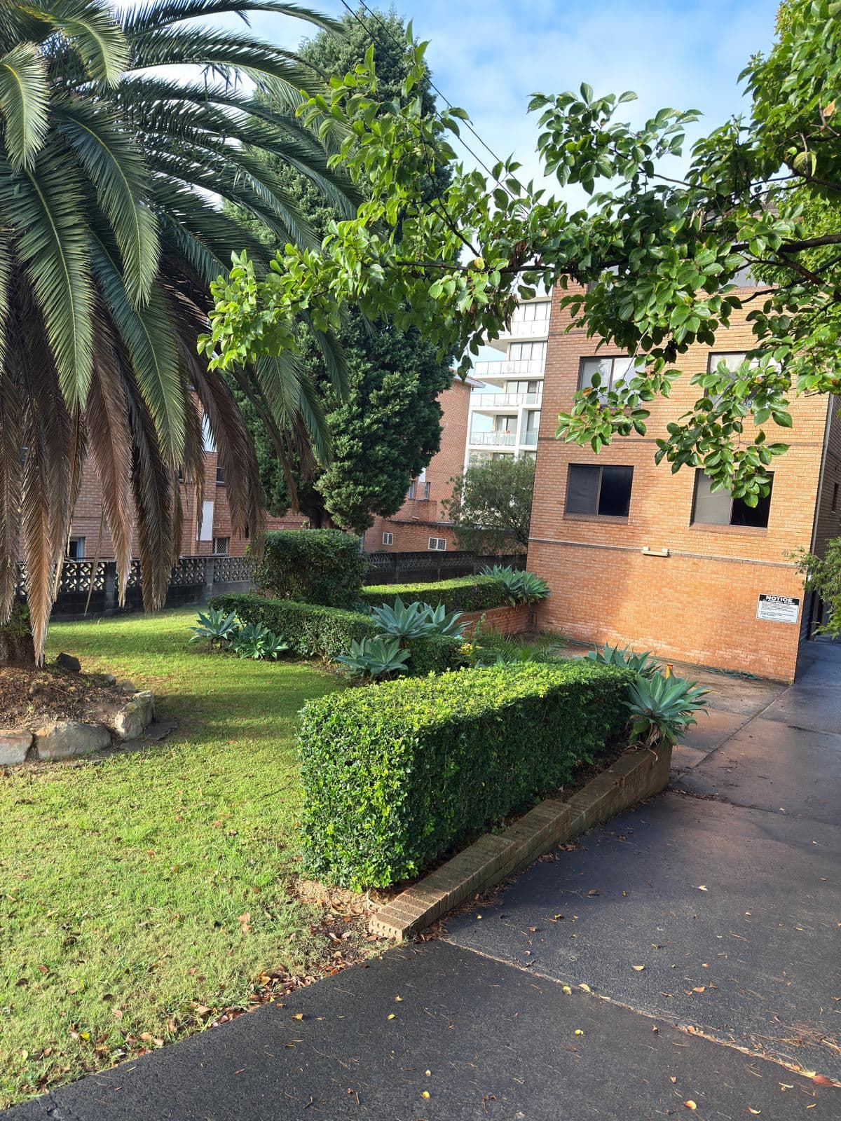 Hedging — photo 23