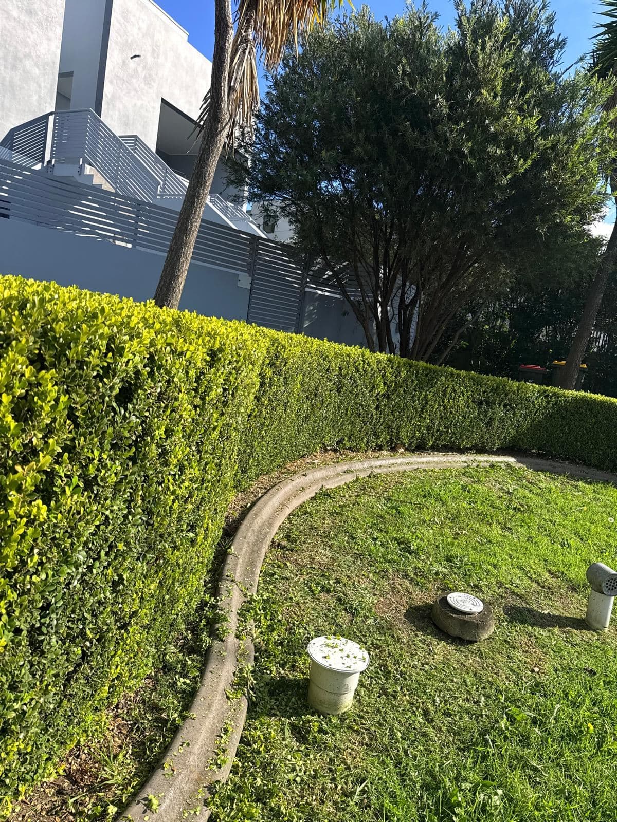 Hedging — photo 24