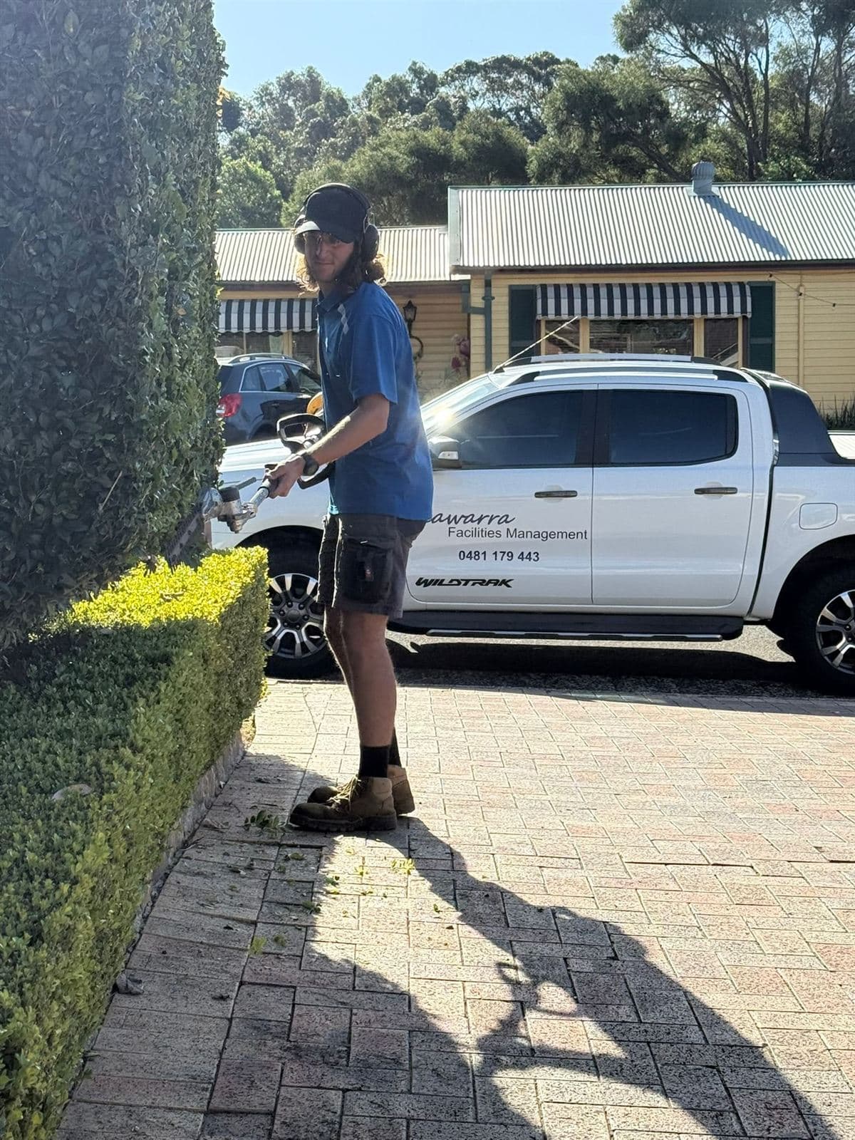 Hedging — photo 26