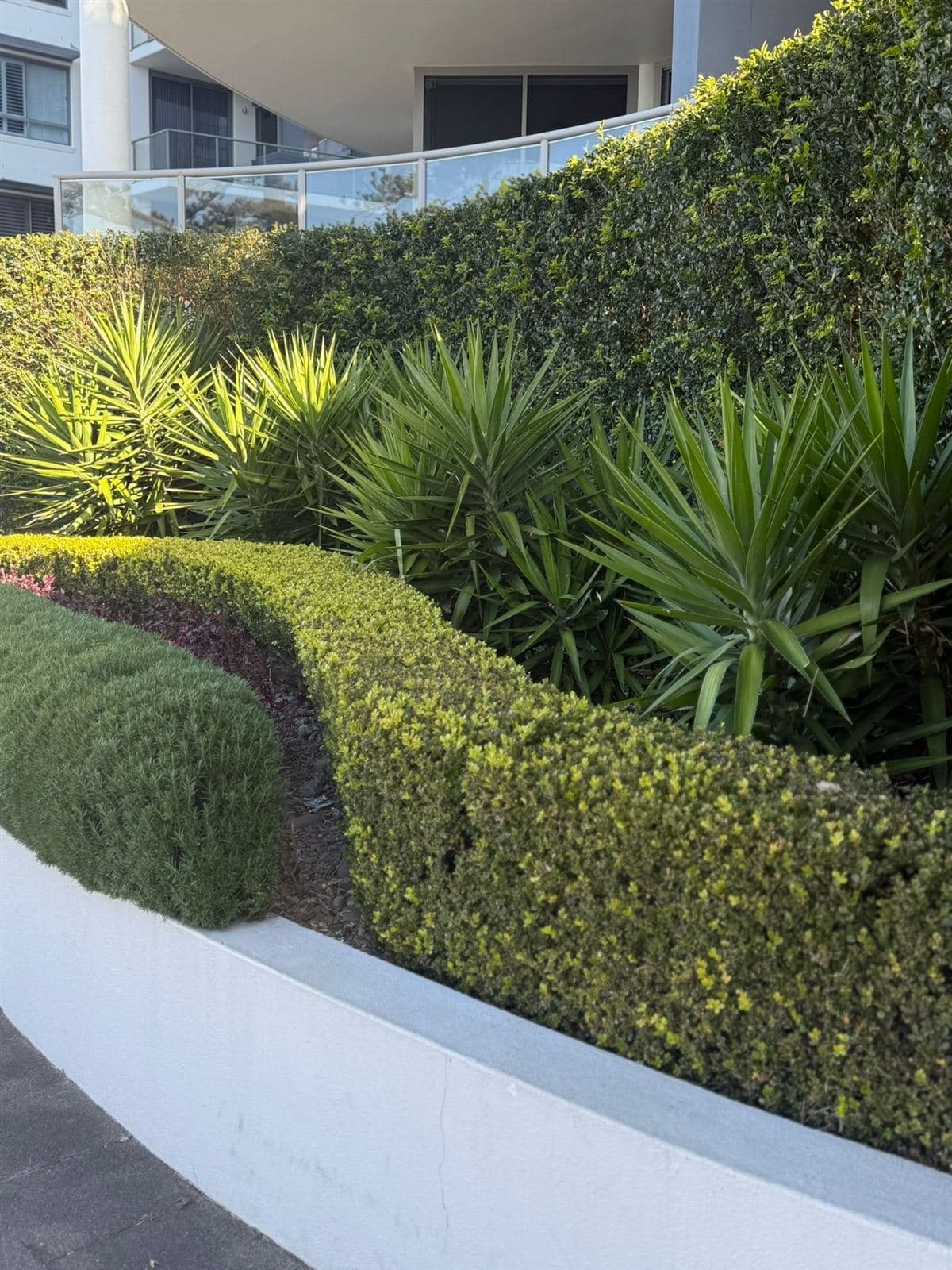 Hedging — photo 28