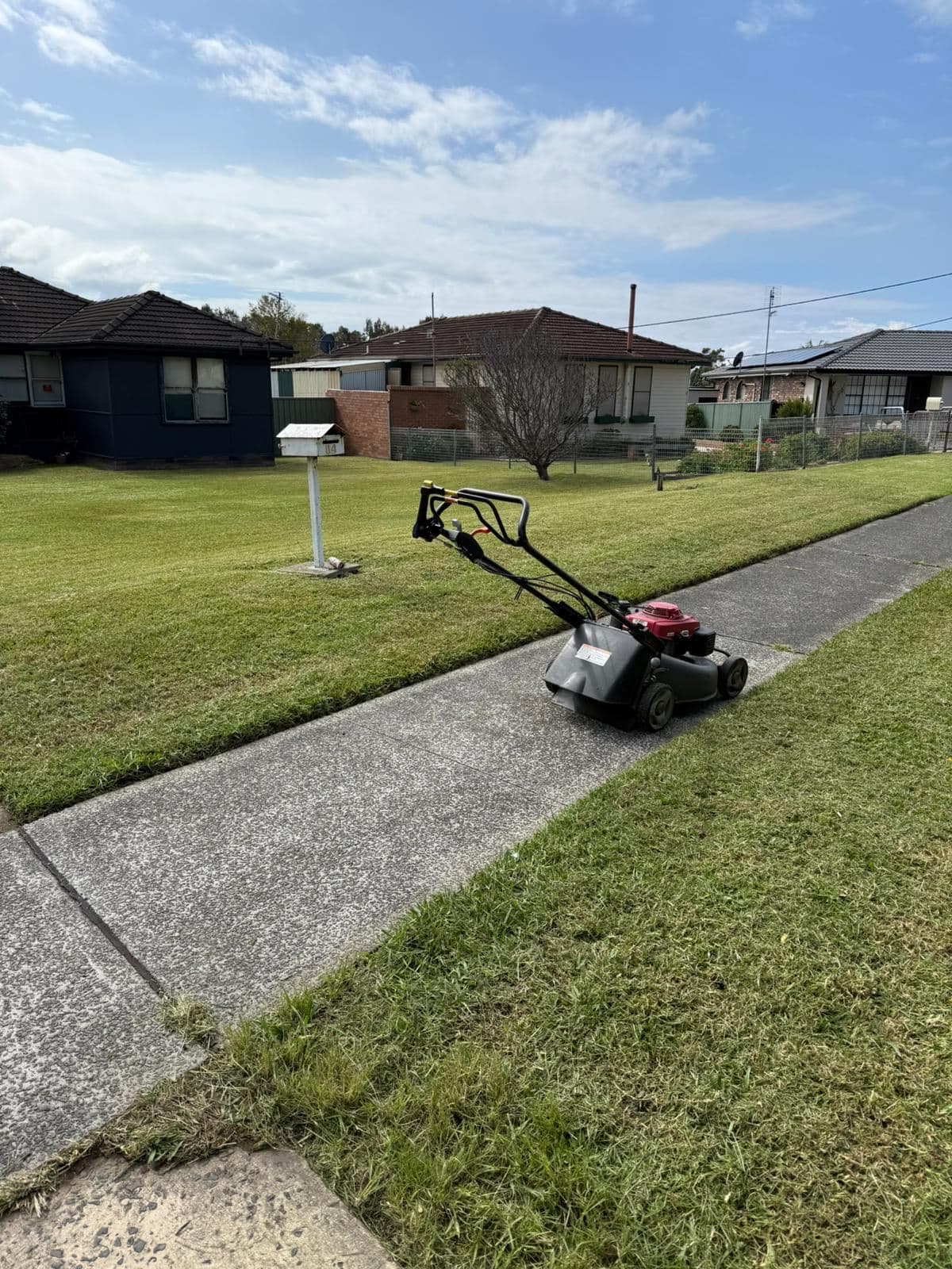 Mowing — photo 2