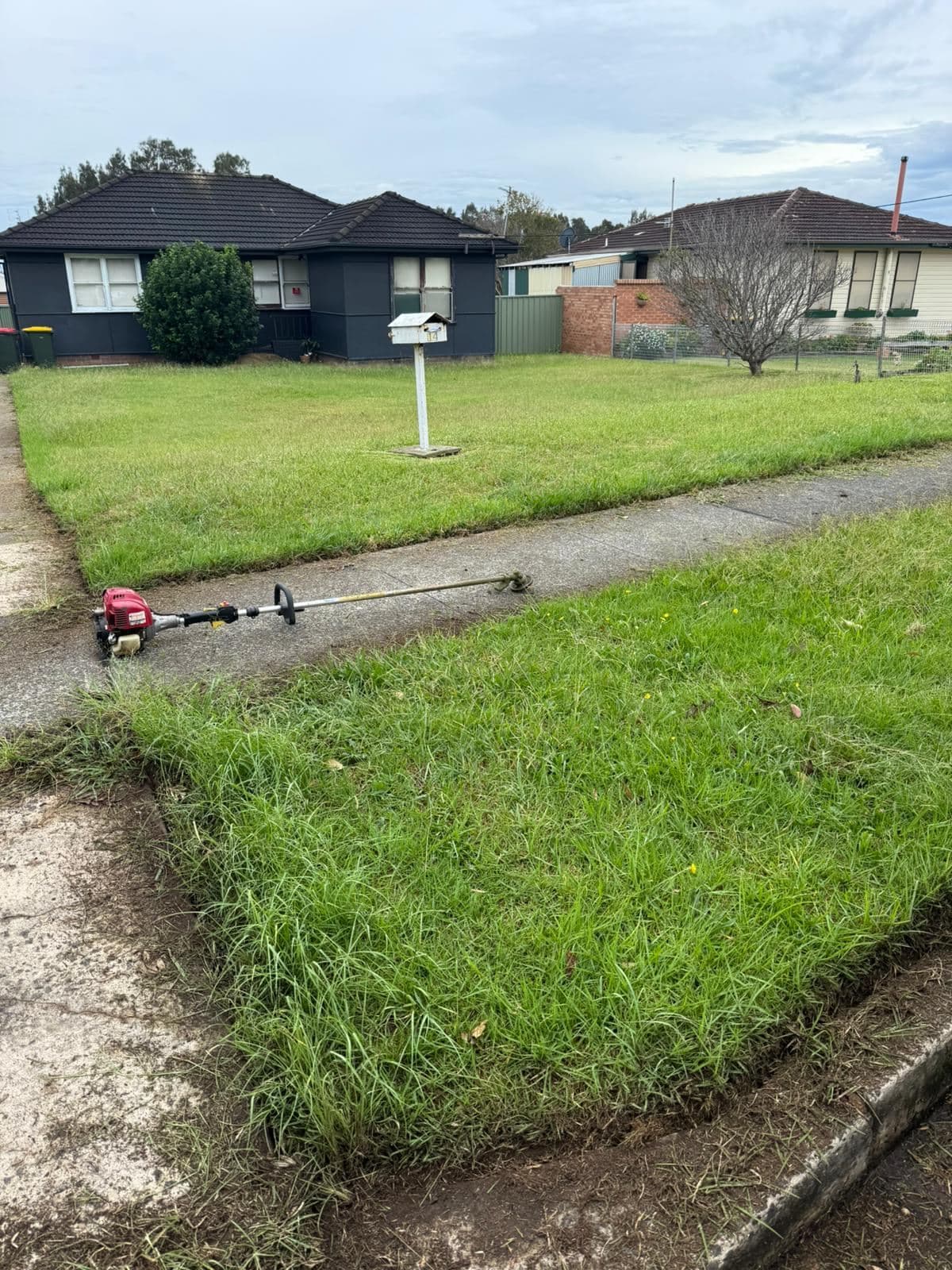 Mowing — photo 4