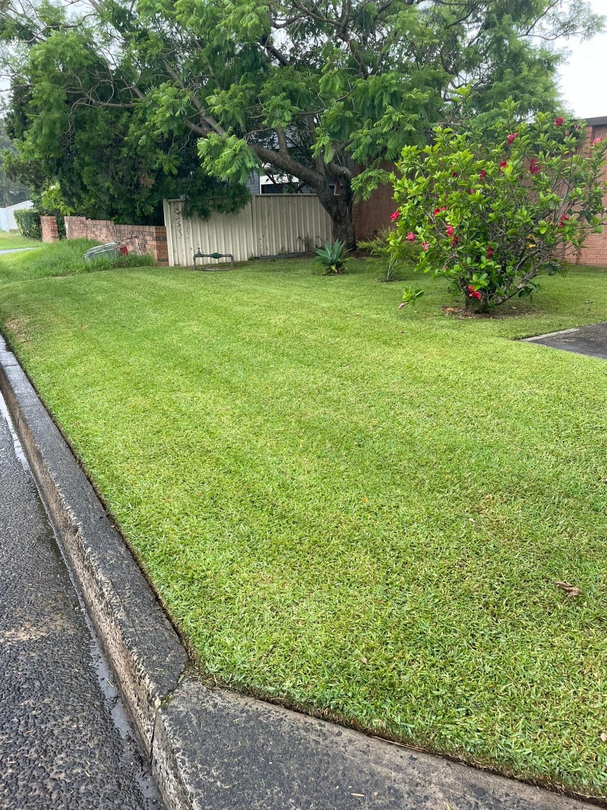 Mowing — photo 5