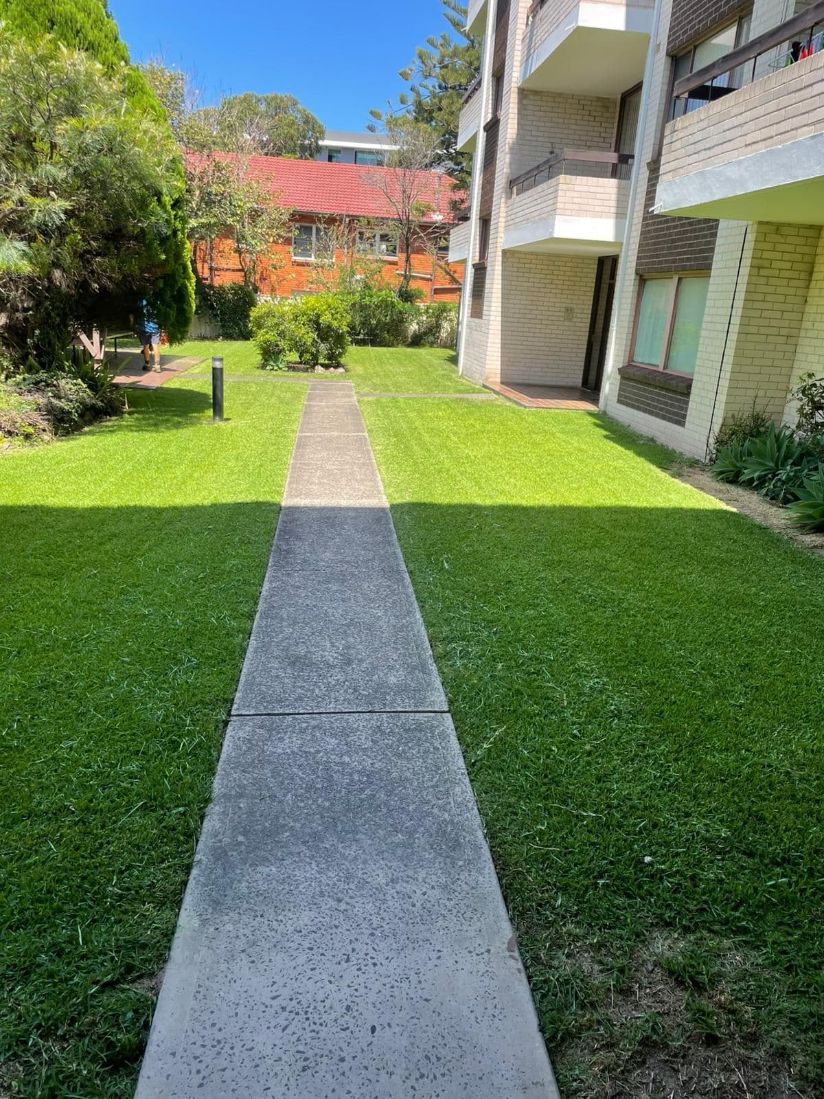 Mowing — photo 6