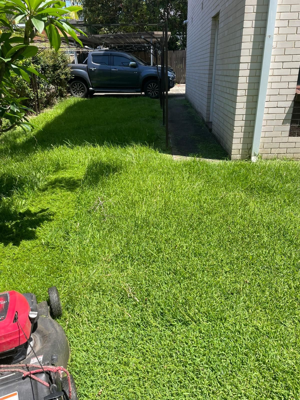 Mowing — photo 7
