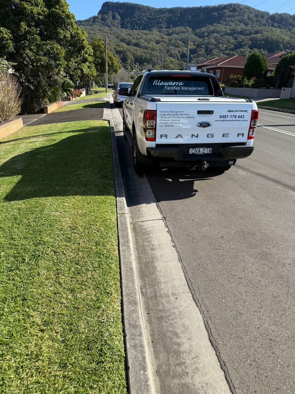 Mowing — photo 8