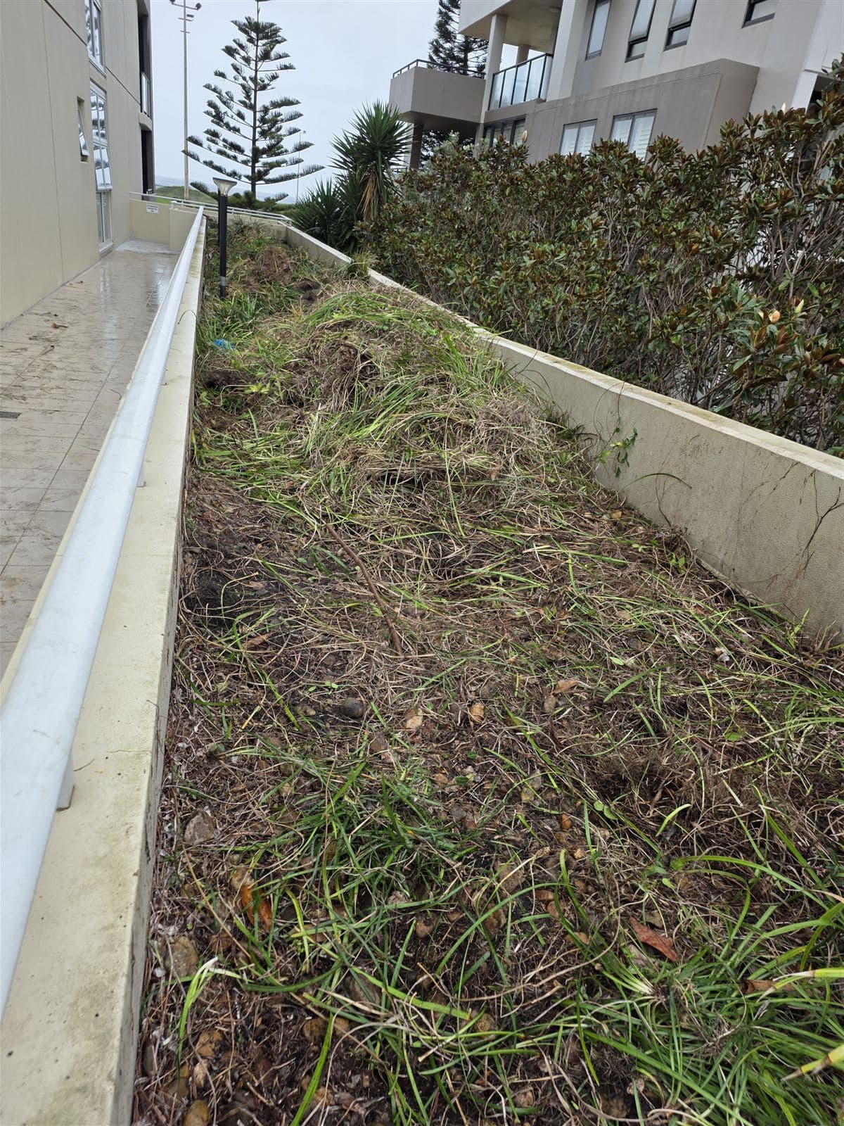Oceanview — photo 1