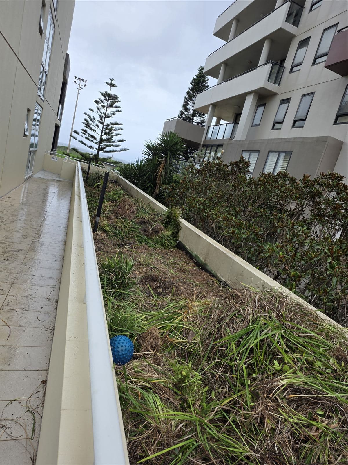 Oceanview — photo 2
