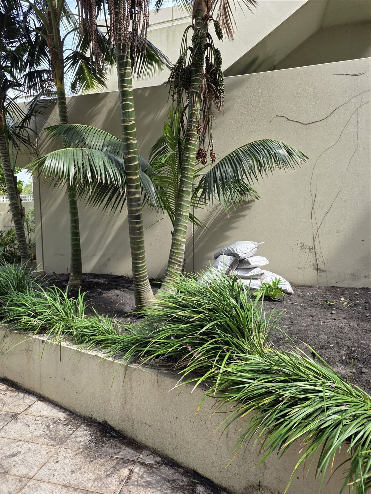 Oceanview — photo 15
