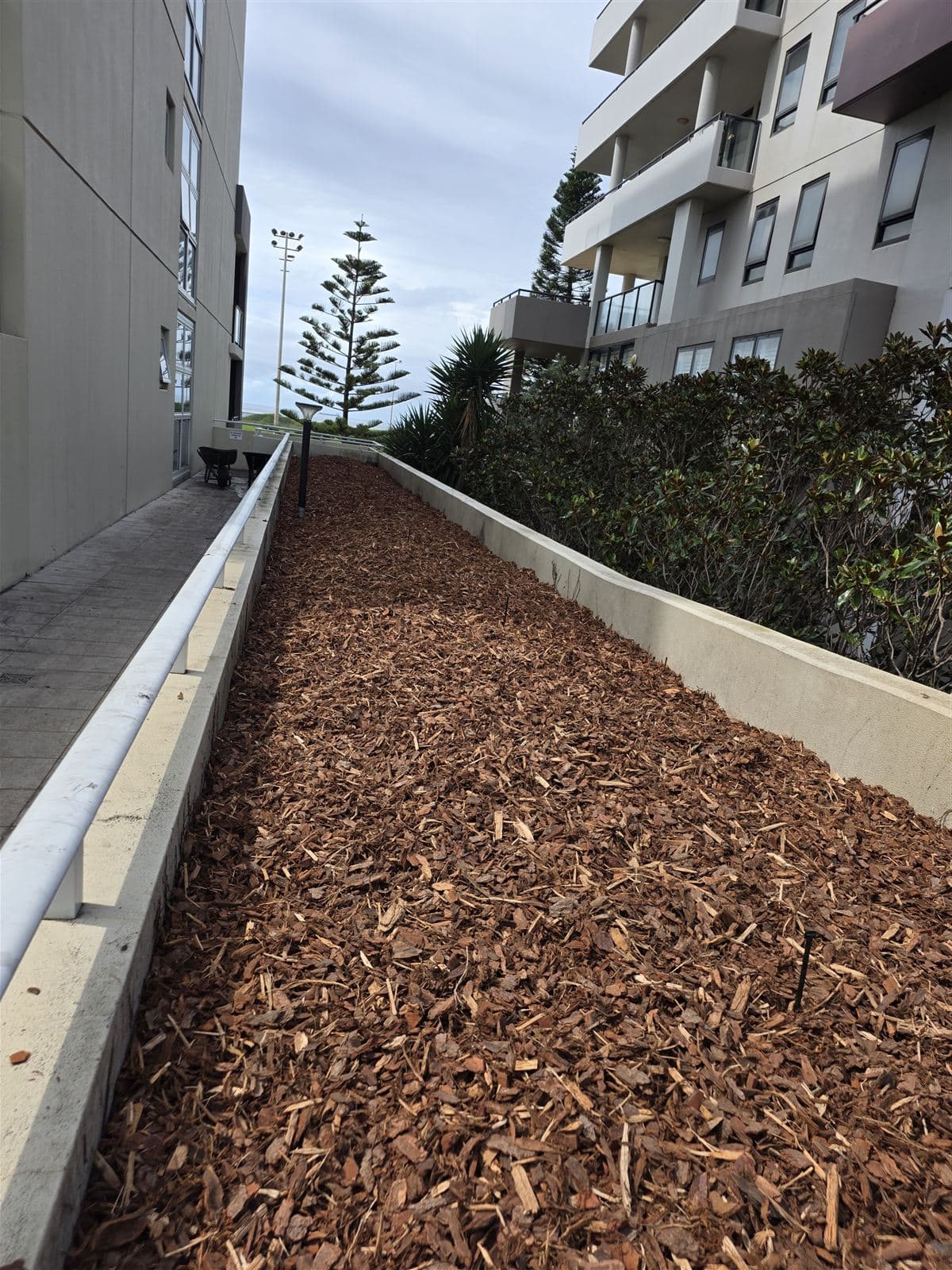 Oceanview — photo 16