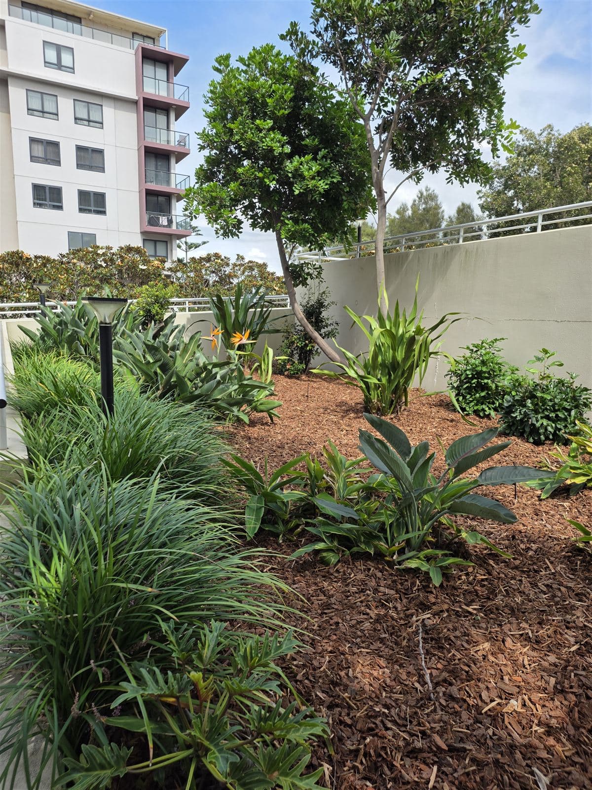 Oceanview — photo 17