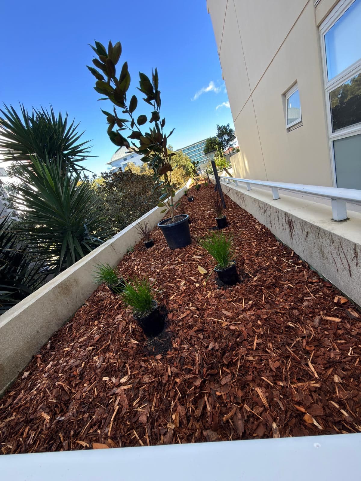 Oceanview — photo 26
