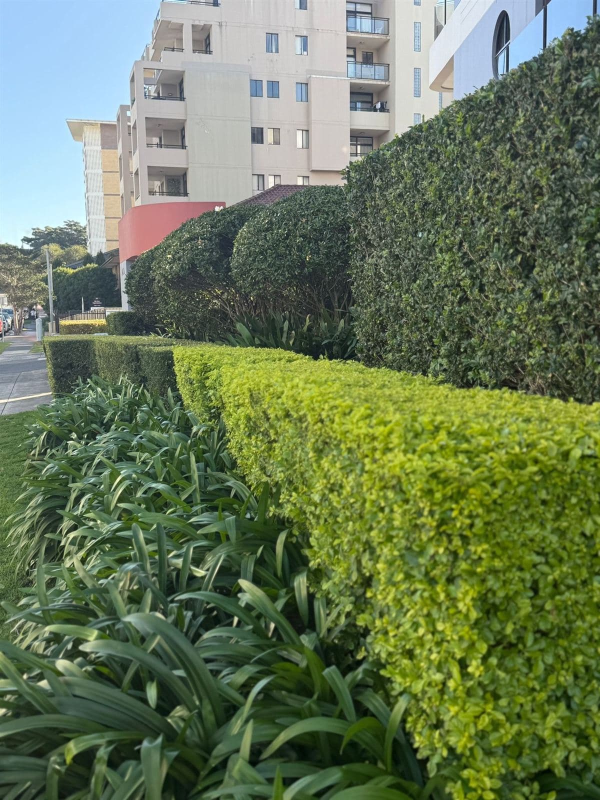 Hedging